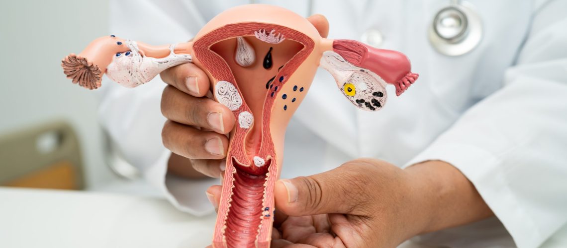 Função da tireoide